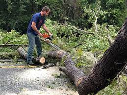 Best Aeration Services  in Wilderness Rim, WA